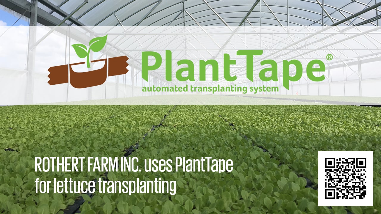Rothert Farm increases lettuce yield, cuts transplanting costs with PlantTape PlantTape is an