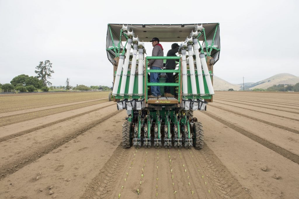 Transplanting seedlings on a flexible schedule PlantTape gives growers