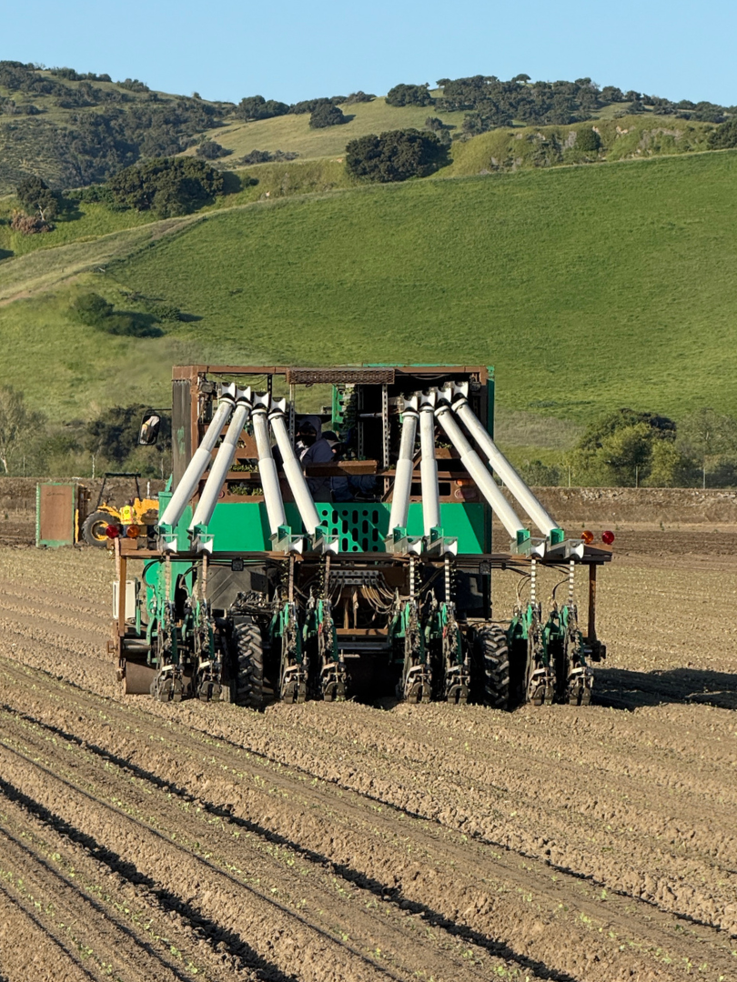 PlantTape automated transplanter
