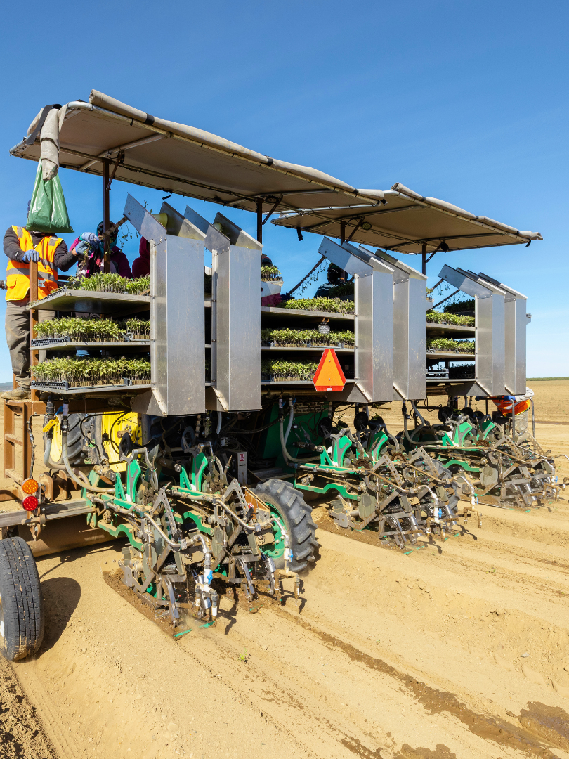 PlantTape automated transplanter